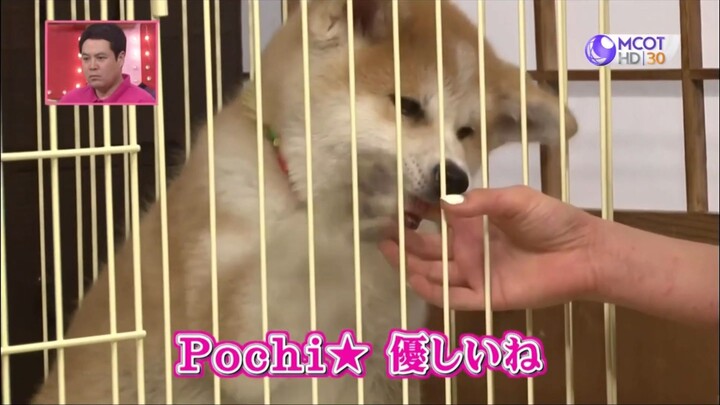 Shimura Zoo สวนสัตว์มหาสนุก #7