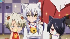 Gugure! Kokkuri-san ตำนานเทพจิ้งจอก ตอนที่ 11 [ ซับไทย ]