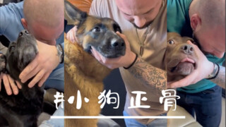 “给小狗正骨！”