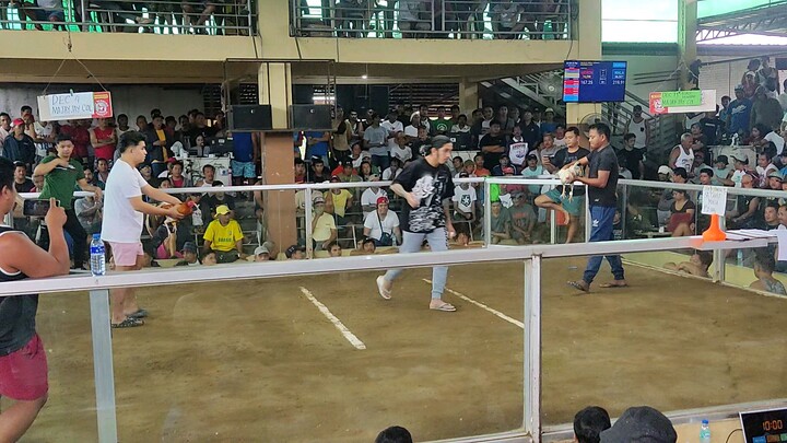 MAJAYJAY LAGUNA VS LILIW LAGUNA 🐓