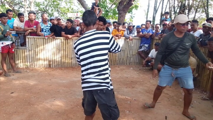 3x signature lane🐓