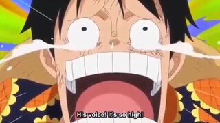 #luffy x Zoro laugh trip#pica's voice doesn't fit😂🤣