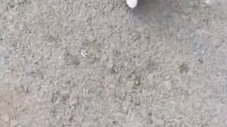 Siapa yang butuh pelukan?