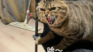 Liqun remains silent, just breathing heavily.