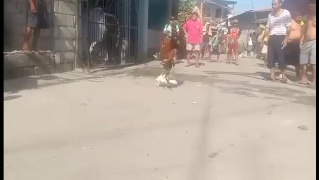5x winer gang sa huli panalo pa din..