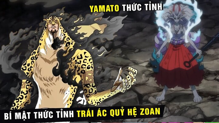 Bí ẩn sự Thức Tỉnh Trái Ác Quỷ hệ Zoan , Yamato đã Thức Tỉnh Trái Ác Quỷ [ One Piece 1069+ ]