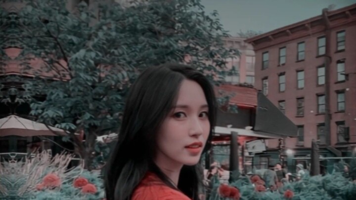 Lu  Freya, Gw Mina, Haewon, Sakura