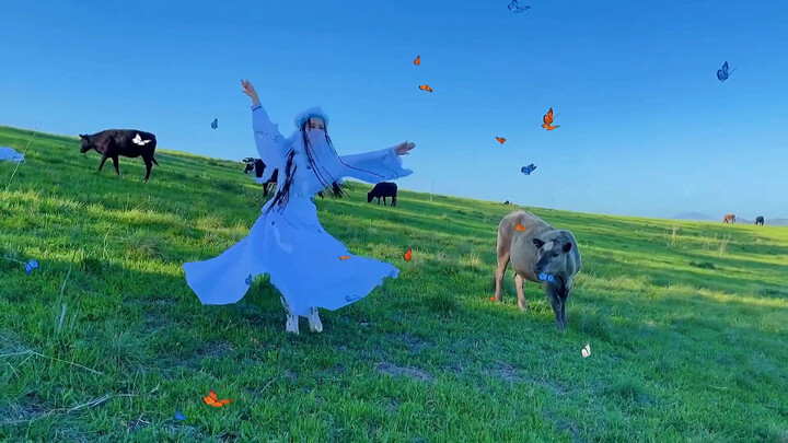 你们觉得牛哥哥是喜欢我的舞蹈，还是不喜欢？一只追着不放