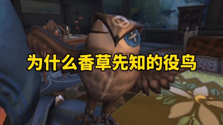 นกของผู้ทำนายช่างน่ารักจริงๆ ฉันทนไม่ไหวแล้ว