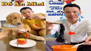 Dương KC | Tứ Mao Đại Náo #2 | chó thông minh đáng yêu | funny cute smart dog pets | Thú Cưng TV