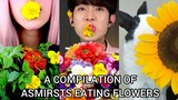 asmrists eating flowers for 3 minutes straight