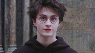 [HP/Danniu] Kok jarang yang suka Harry! ?