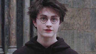 [HP/Danniu] How come there are so few people who like Harry! ?