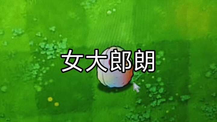 Truly! Dynasty Warriors!