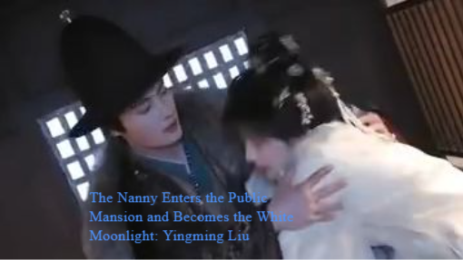 育儿嫂入公府成白月光之莺鸣柳