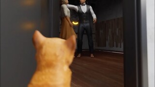 Spent tens of millions training spy cats, only to have them get run over by cars