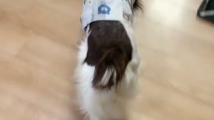 Xiao Fei Gun’s here! Come listen to this mind-bending BGM!