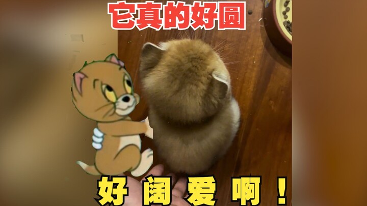 It’s so perfectly round, I just love it!