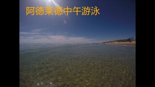 阿德莱德中午游泳