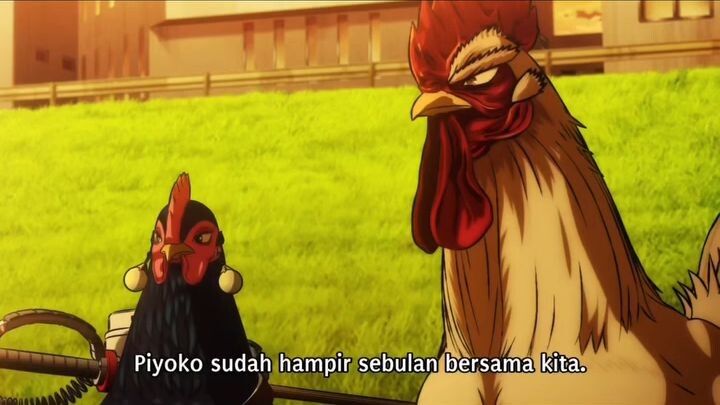 ayam piyoko piy