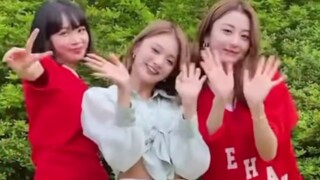 李娜炅 x 金采源 x 许允真《fromis_9 - Stay This Way》舞蹈视频公开！