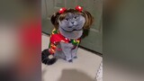 Đủ mảnh mai chưa ạ viral catsoftiktok mèo cute xuhuongtiktok