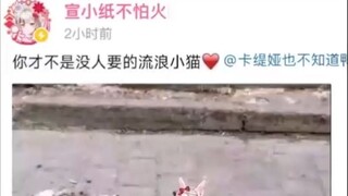 Brother Zhi: "Kaka, you are not an unwanted stray cat" Kaka: "😚😘" Factory worker grandpa: "No one wa