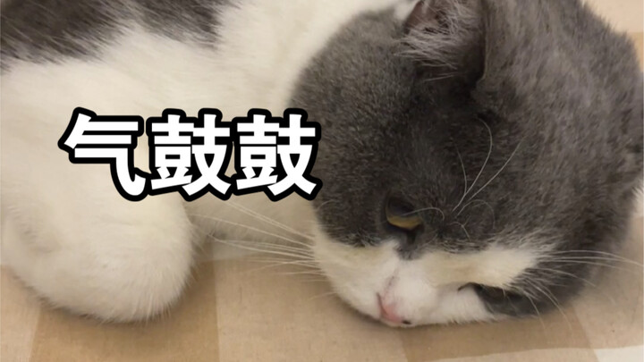 Xiaoyuan successfully chased Grandpa away.