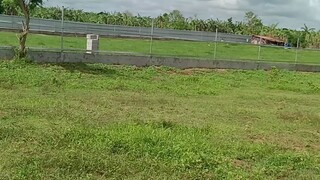 lot for rent