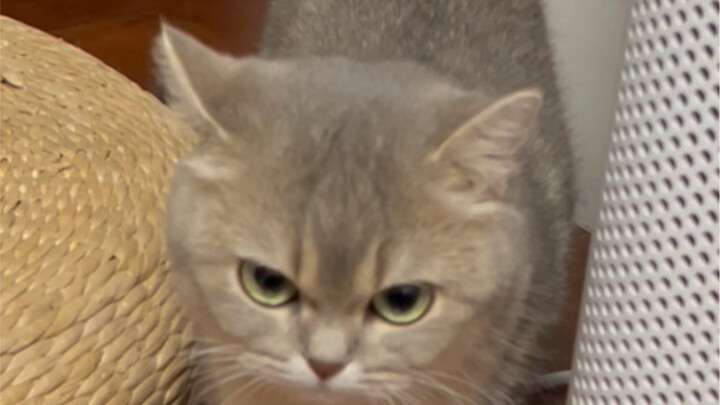 تعرضت لتحذير بعينيّ لغنائي بطريقة فوضوية!