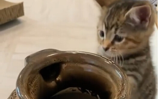 "Magic Jar"