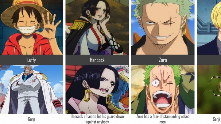 ONE PIECE CHARACTERS FEARS COMPARISON