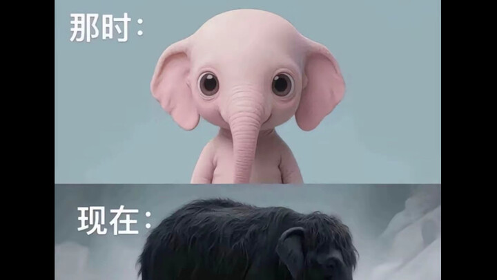 I didn’t have fur back then 😭