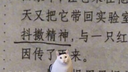 มีมที่นักวิทย์เท่านั้นเข้าใจ: แมลงหวี่ตาขาวปลุกขวัญกำลังใจ