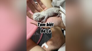 Mong khiếp sau em sẽ luôn hạnh phuc, vui vẻ.