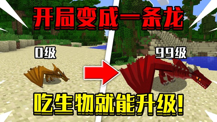 When you start as a dragon! You can level up by eating creatures. How to defeat the Ender Dragon!