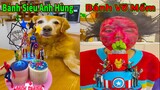 Thú Cưng TV | Gâu Đần và Bà Mẹ #47 | Chó Golden Gâu Đần thông minh vui nhộn | Pets cute smart dog