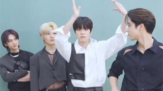 straykids但是小鸡恰恰舞