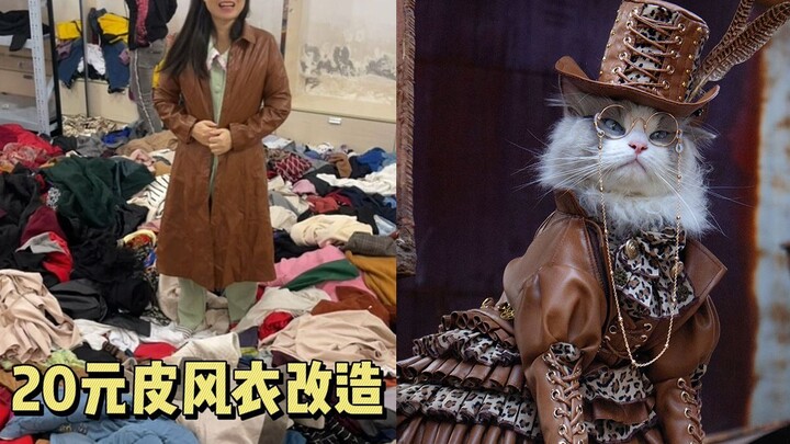 Đổi áo gió da 20 tệ cho mèo mặc! Bà ngoại biến một chiếc thành ba!