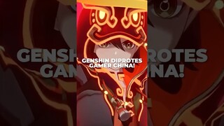 Genshin Impact Diprotes Gamer China!