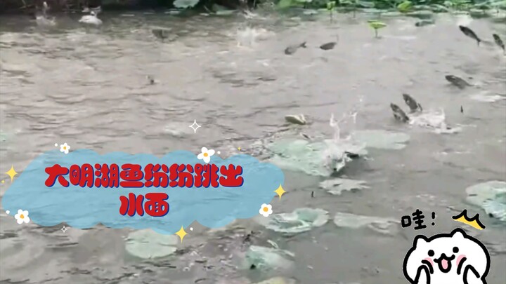 Ternyata, “ikan” yang berstatus pegawai negeri memang beda!