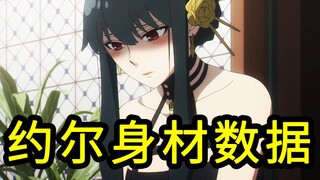 我算出了约尔太太的身材数据，b站第一人