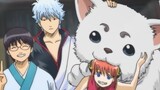 [Gintama Voice Actor Meet and Greet] "I'm sorry we are never clean"