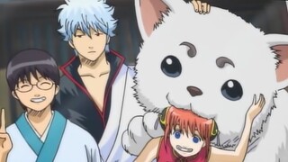 [Temu dan Sapa Pengisi Suara Gintama] "Maaf kami tidak pernah bersih"