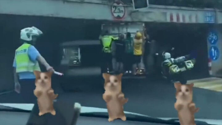 Trên xe sao còn có năm món đồ treo nhỏ vậy