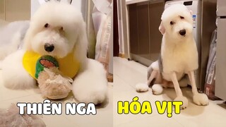 1 Giây Trước Thảm Họa - BOSS Từ THIÊN NGA hóa VỊT ~ 🤣 Gâu Đần Official