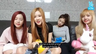 12.11.2016 BLACKPINK Vlive [Phụ đề Vietsub]