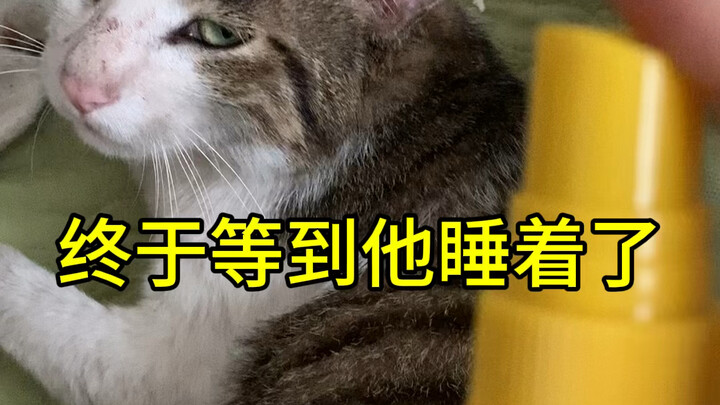 أخيرًا انتظرت حتى نام لين قو.