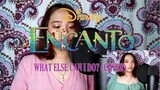 【ENCANTO OST】WHAT ELSE CAN I DO? COVER