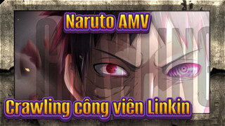 "Không hy vọng, không ánh sáng" | Công viên Linkin / Crawling / Naruto